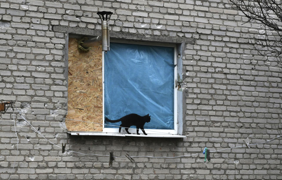 Un gato camina por el alféizar de una ventana donde se ve la chimenea de una estufa asomando en la ventana tapiada de un edificio de apartamentos en Lyman, en la región de Donetsk, Ucrania, el domingo 20 de noviembre de 2022. (AP Foto/Andriy Andriyenko)