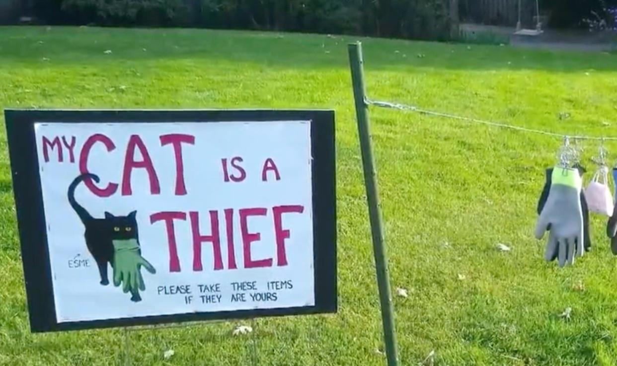 Cat owner posts up sign asking neighbours to reclaim items stolen by her thieving pet (KOIN)