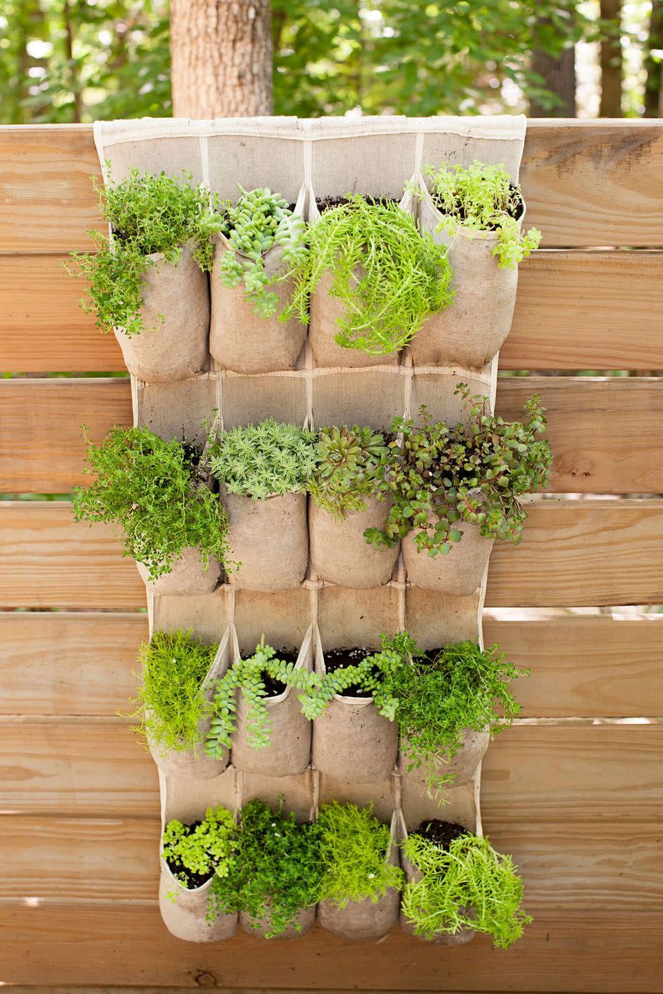 <p>Find an over-the-door shoe organizer that matches your aesthetic (linen works best!) and attach it to your fence for a space-saving herb garden. Stick a different kind of herb in each compartment, and add labels to help you keep track of what's what.</p>