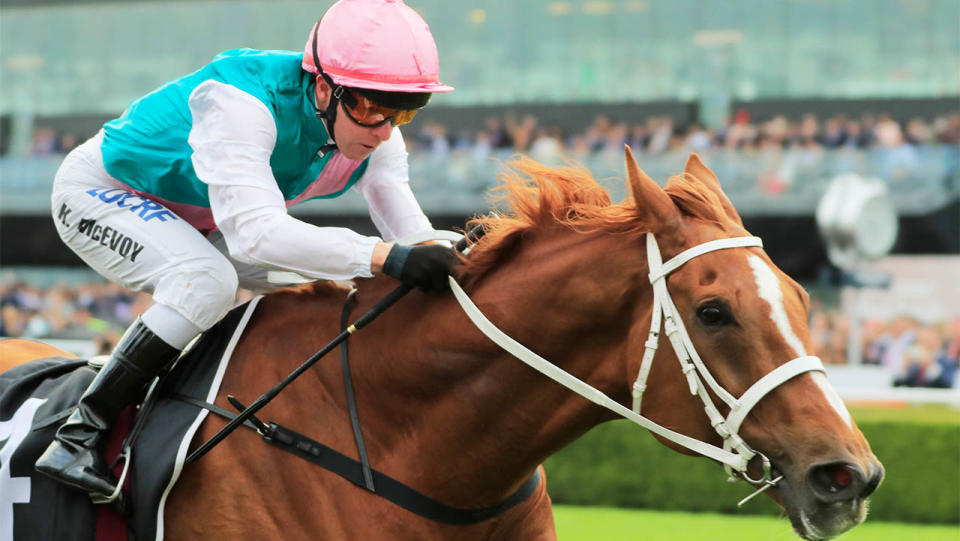 Kerrin McEvoy riding Finche during the Agency Real Estate Kingston Town Stakes.