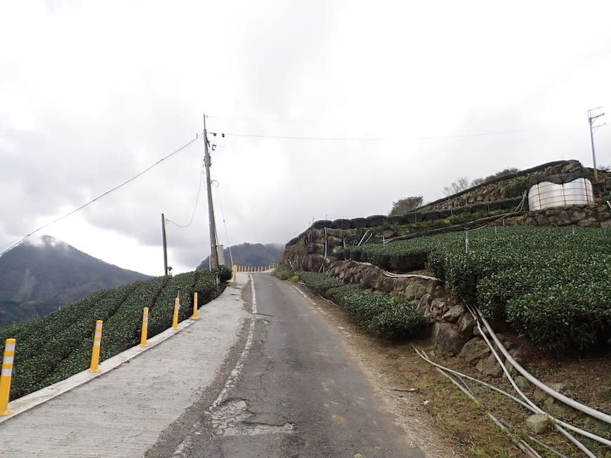 嘉義大風埕觀日峰＋油車寮步道