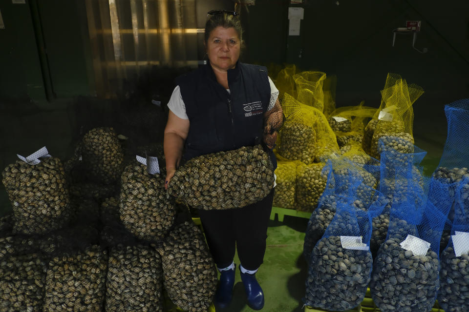 Mari Carmen Vazquez sostiene un saco de almejas listas para ser enviadas en Lourizán, España, el lunes 17 de abril de 2023. (AP Foto/Alvaro Barrientos)