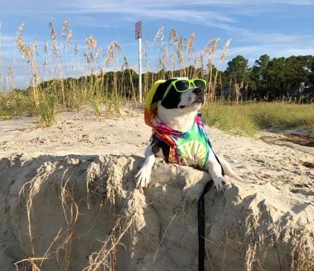 Porsha wearing a tie-dye shirt with a hoodie and sunglasses outside