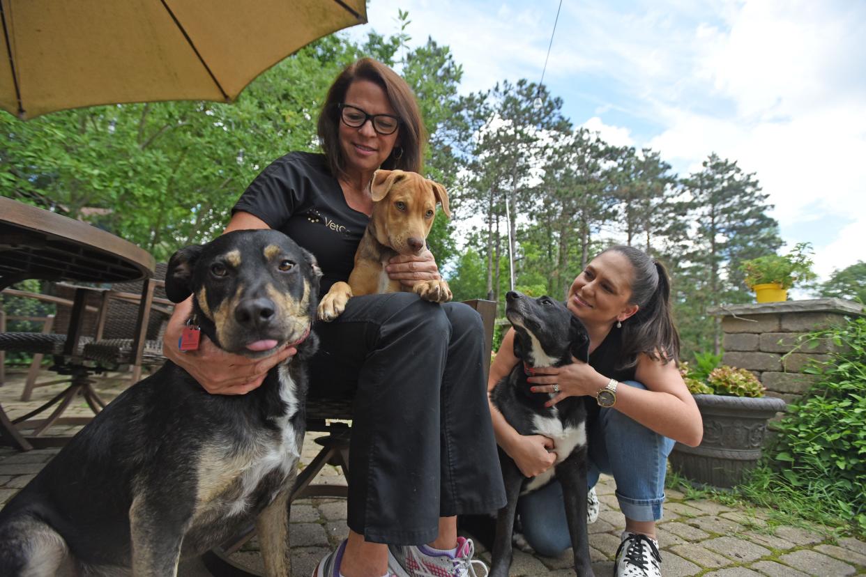Dr. Sue Burkhart, left, and Bertha Bishop enjoy the company of three dogs, Turk, Rum, and Isla, from left, all rescued from the Caribbean.