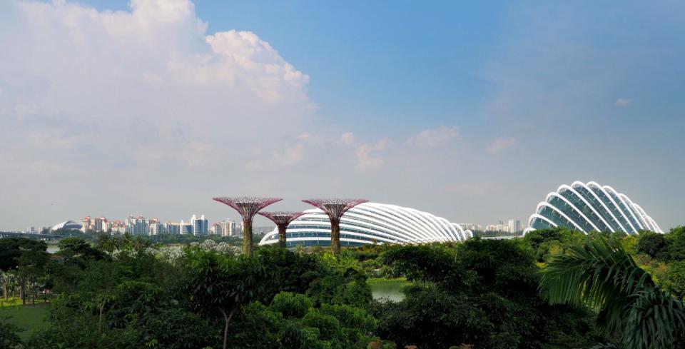 gardens by the bay