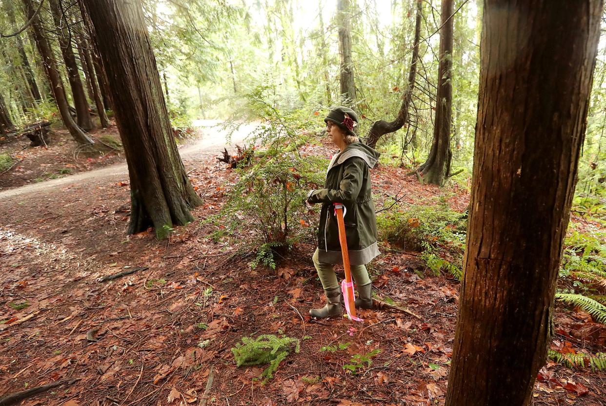 In this Kitsap Sun file photo from 2019, Kathie Lustig looks out at Enetai Beach Drive while leaning on the marker post for a proposed road. The road was never built, but now Lustig and neighbors are concerned about a developer's request to the Bremerton City Council to extend sewer services for a potential 189-home development nearby.