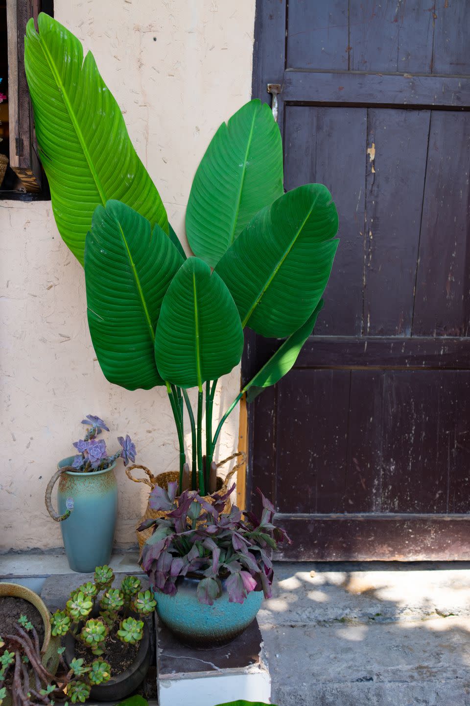 container gardening ideas