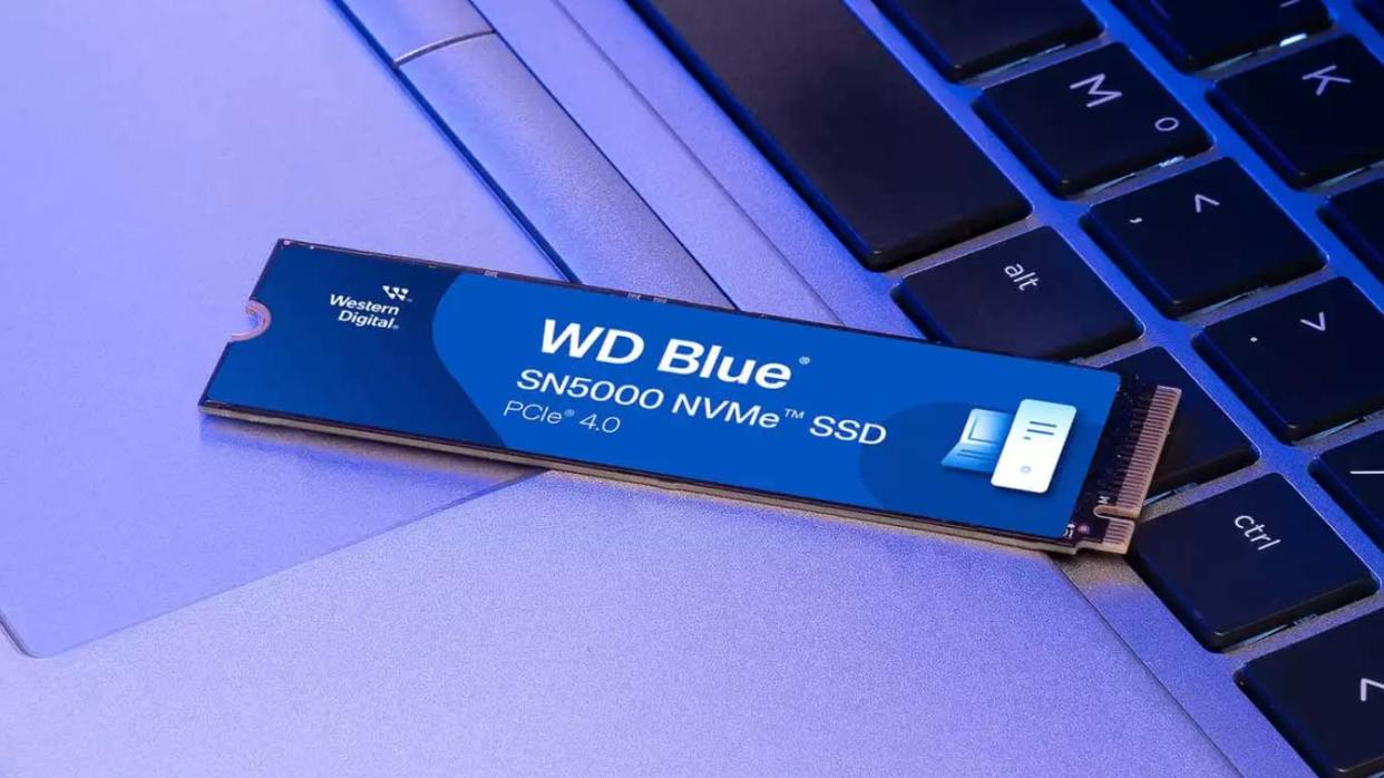  Western Digital WD Blue SN5000 NVMe SSD 2TB. 