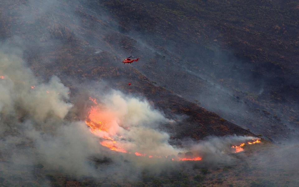 Spanish police suspect drug traffickers started massive Costa del Sol wildfire as 'distraction' - Alvaro Cabrera/EPA-EFE/Shutterstock /Shutterstock 