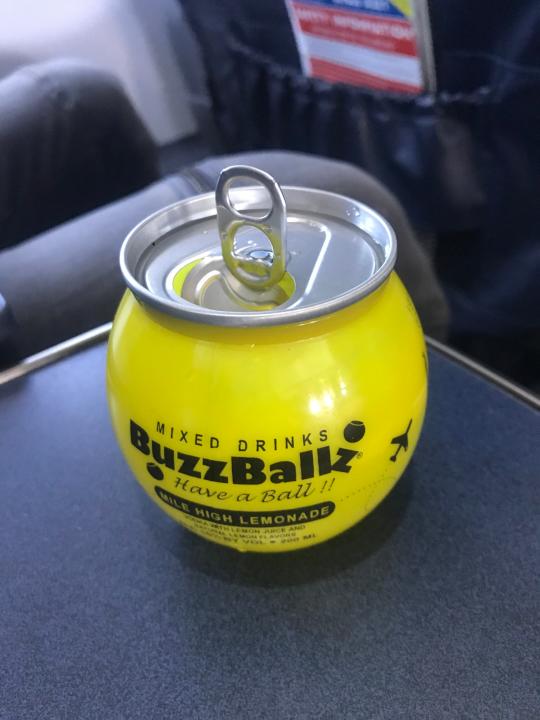 Spirit Airlines' in-flight beverage options include a $9 BuzzBallz, a premade cocktail.