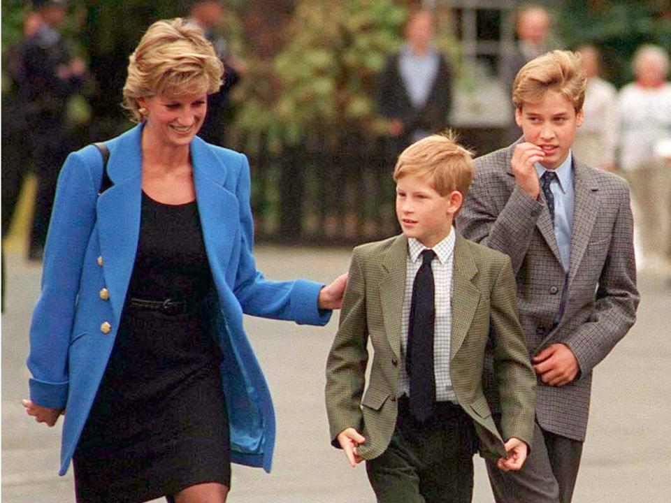 prince harry and william eton