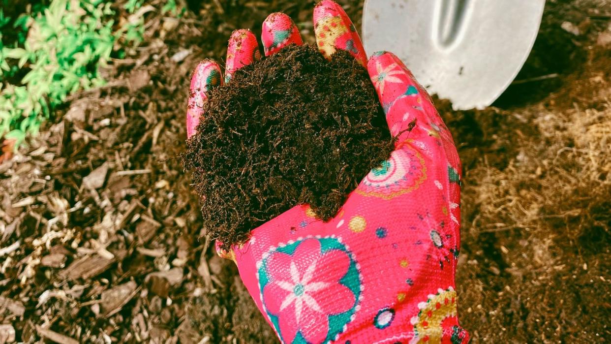 best mulch for flower beds