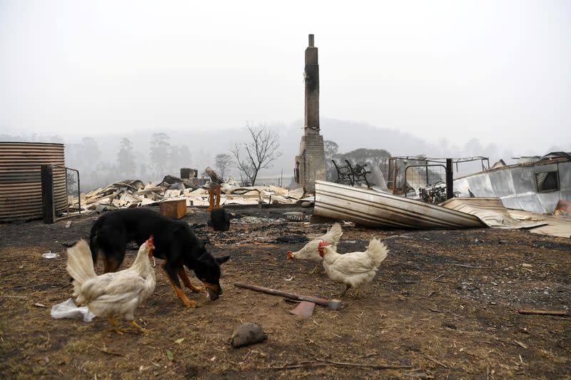 Bushfires in Kiah, Australia