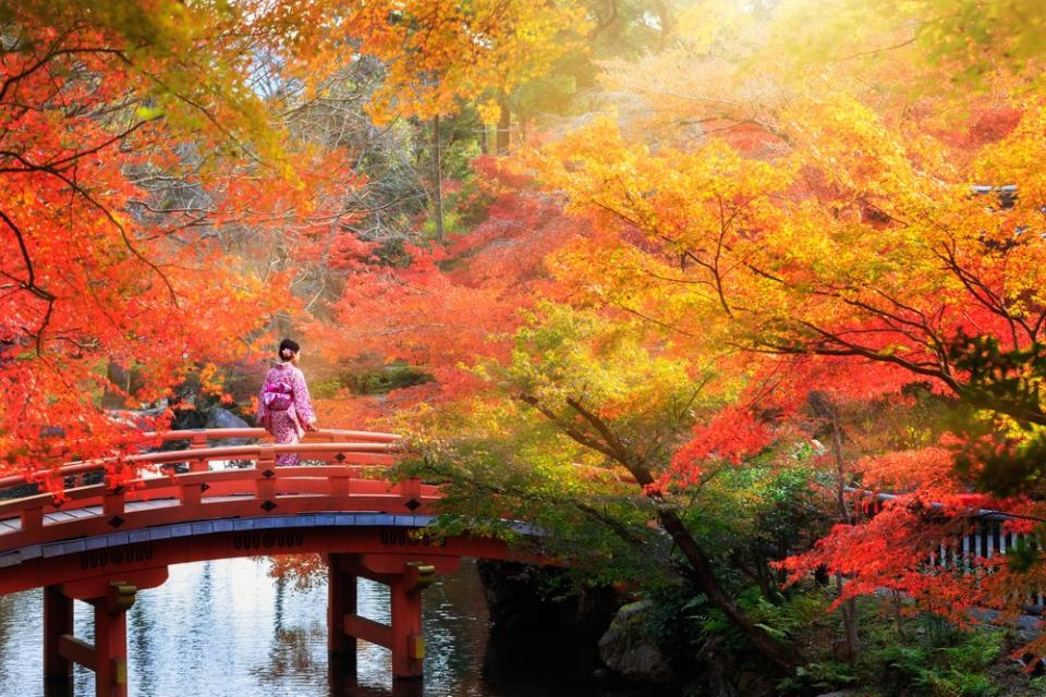 girl in kimono on bridge in Kyoto during autumn