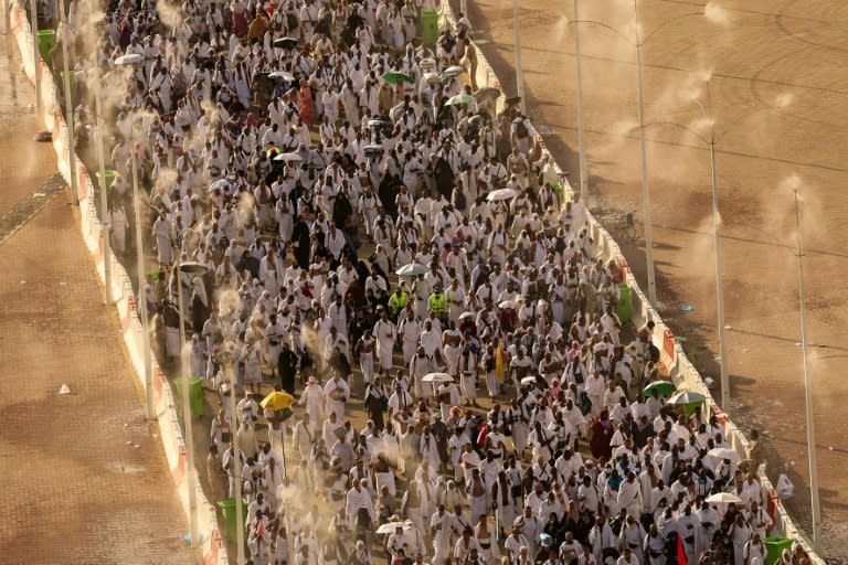 Nearly two million pilgrims took part in hajj this year in the searing heat of the Saudi summer (Fadel SENNA)