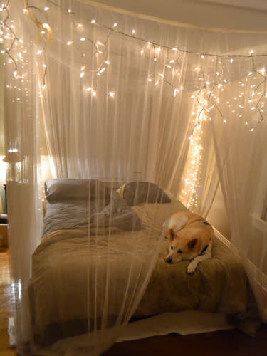 Fairy Light Canopy