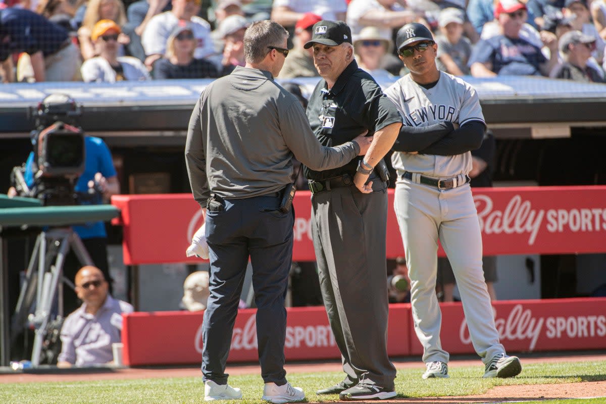 UMPIRE LESIONADO (AP)