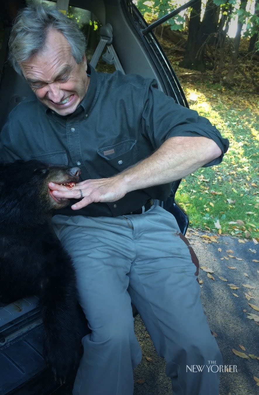 Mr Kennedy has admitted dumping a dead bear cub in Central Park, New York City