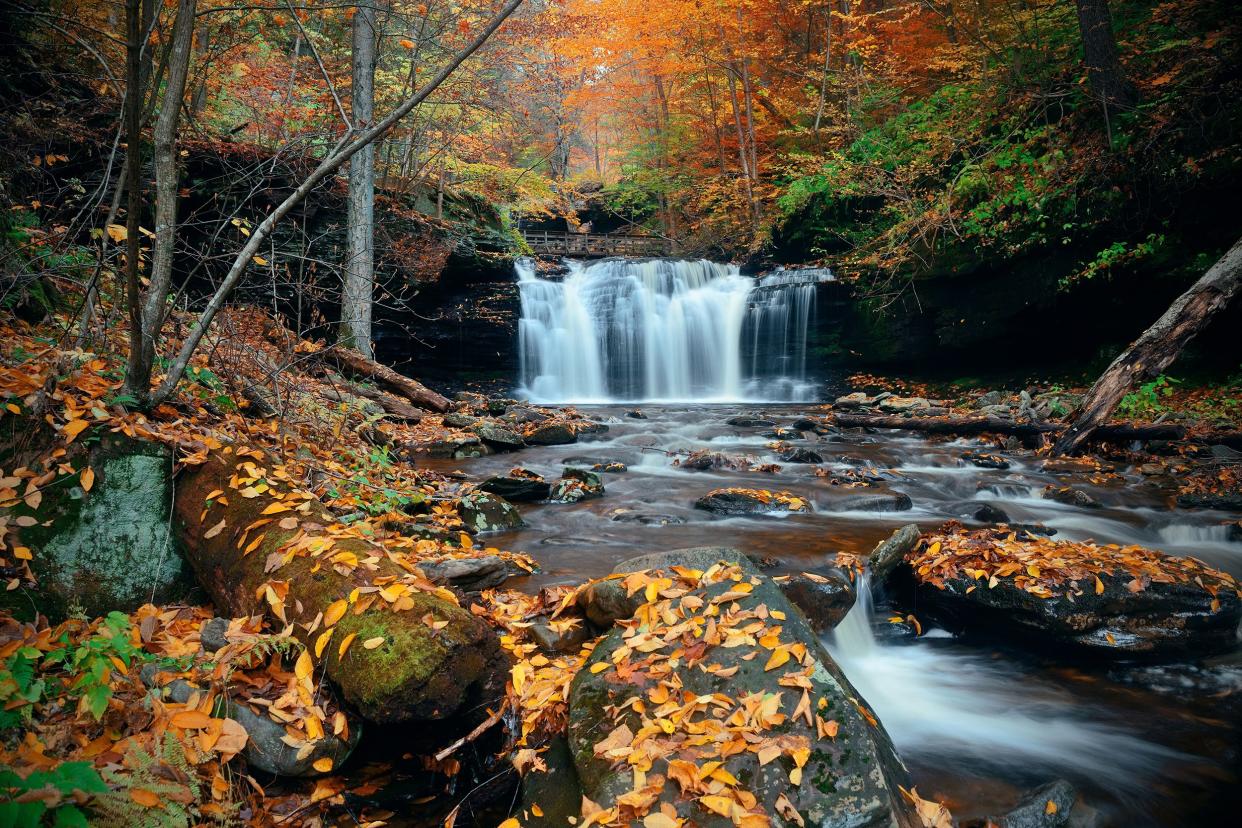 Ricketts Glen State Park, Pennsylvania