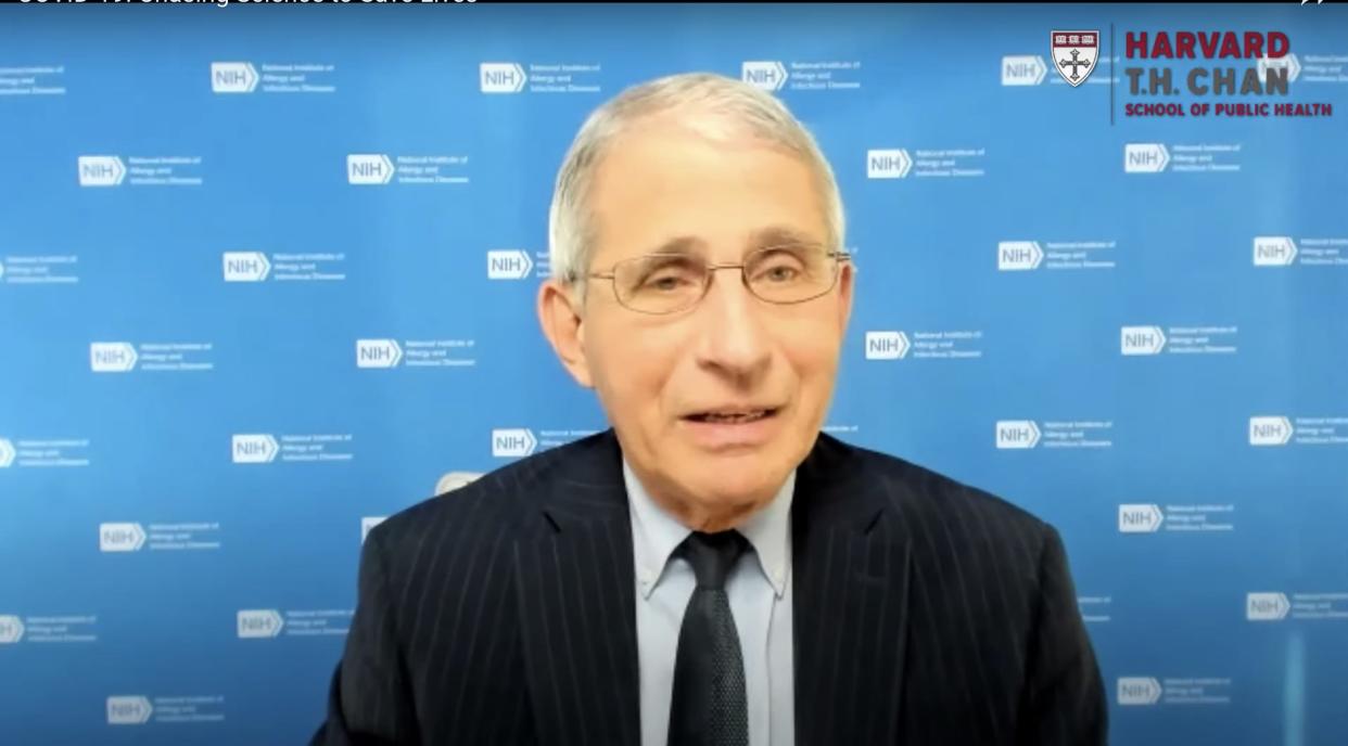 Fauci Harvard talk