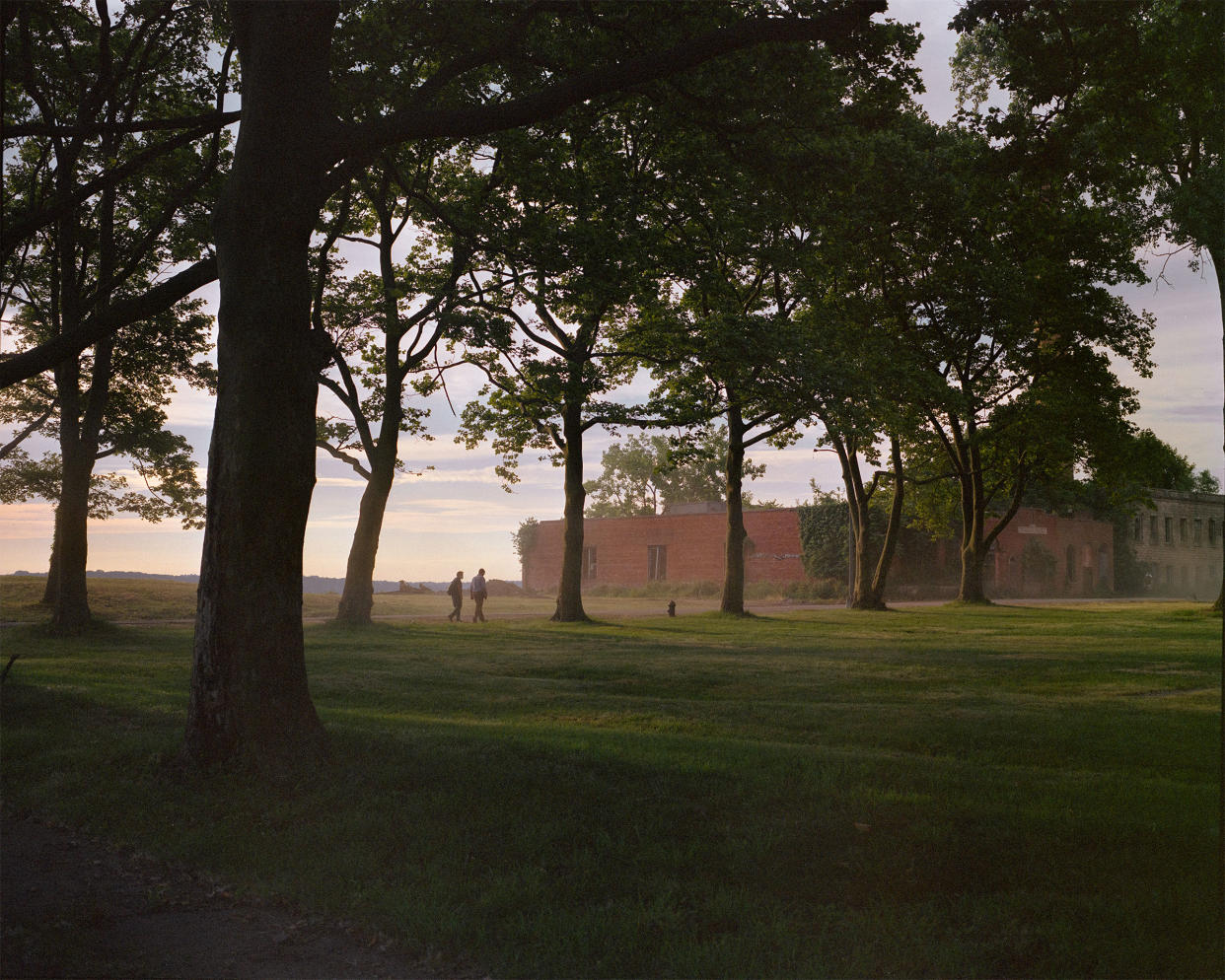 Hart Island Ellen Torron