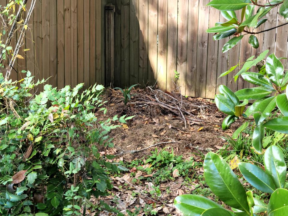 Brush piles are essential for native pollinators as they provide crucial habitats for shelter, food, and reproduction, supporting a diverse range of species including pollinator flies, bees, and wasps, contributing to the overall health and resilience of ecosystems.