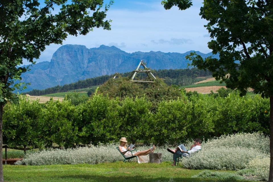 Babylonstoren, a wine estate between Stellenbosch and Franschhoek, is partnered with The Newt in Somerset (Babylonstoren)