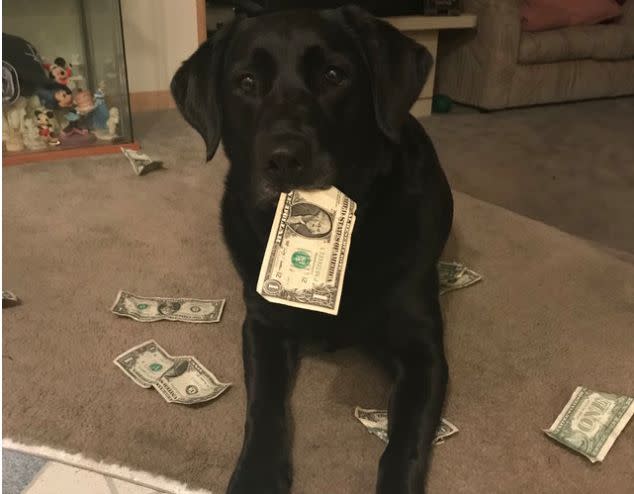 Holly even has a couple of "piggy banks" at home. (Photo: Casi Cook)