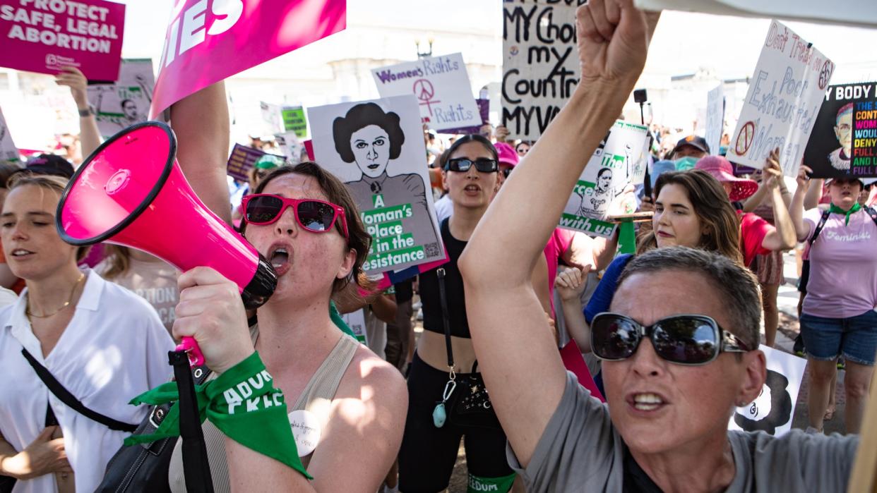  Picture of a crowd of people holding placards. Two activists are shown in the foreground of the image. On the left, an activist is shouting into a pink megaphone. The activist on the right is holding up a placard and shouting . 