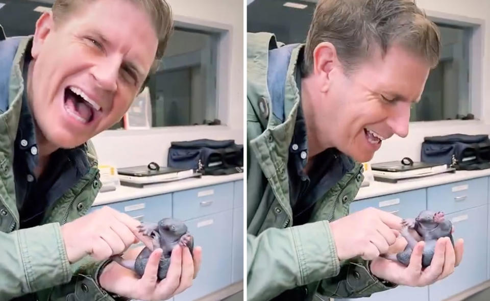 Two photos of Sam Mac from Sunrise holding a baby echidna