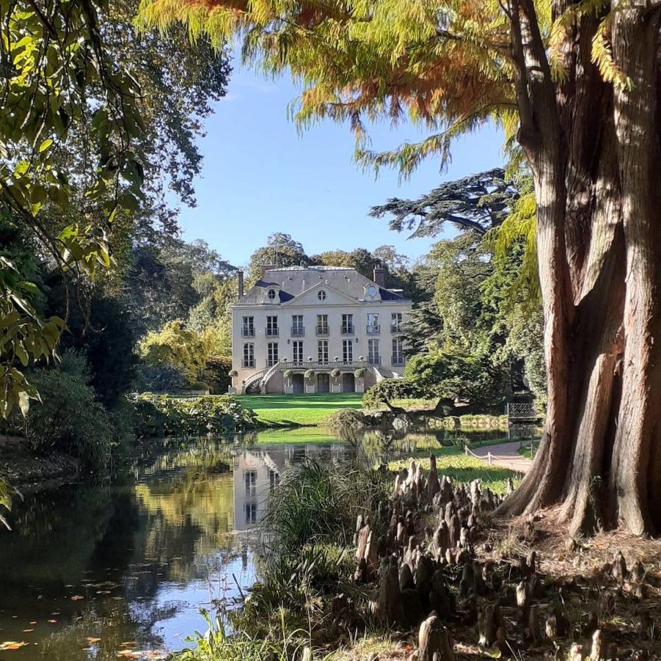 L’arboretum de la Vallée aux Loups à Châtenay-Malabry.