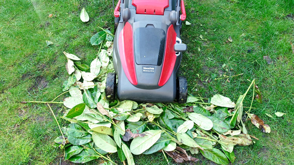 How to mulch leaves: Step 3