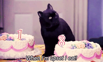 Salem the cat saying "When I'm upset I eat" in "Sabrina The Teenage Witch"