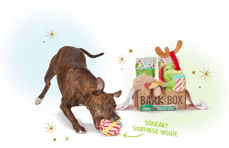 Barkbox gift. (Photo: Barkbox)