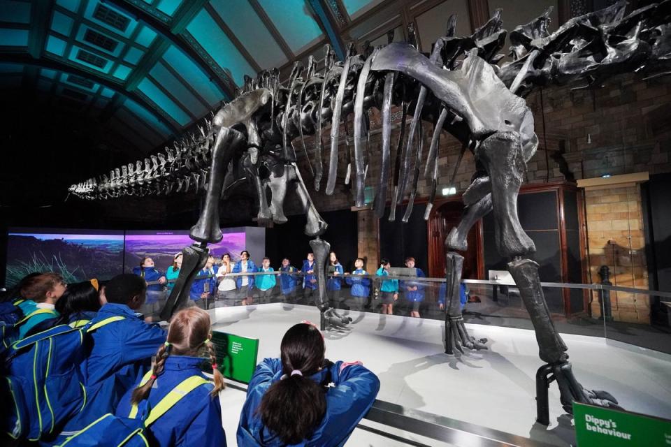 A school group views Dippy, the Diplodocus skeleton cast, which has returned to the Natural History Museum in London following its tour of the UK (PA)