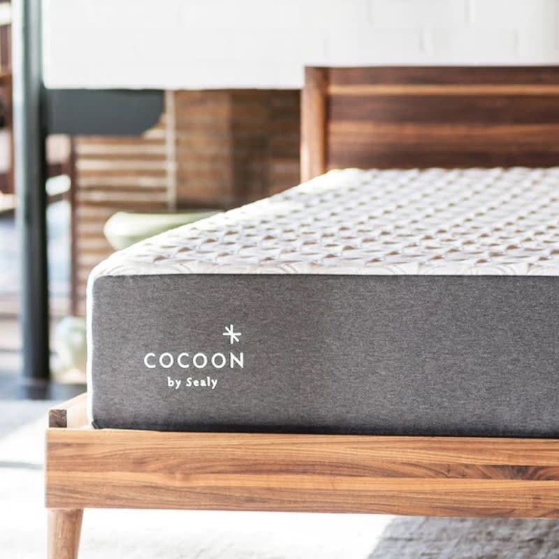 <p><a href="https://go.redirectingat.com?id=74968X1596630&url=https%3A%2F%2Fwww.cocoonbysealy.com%2Fmattress%2Fthe-chill-mattress%2Fv%2F126%2F&sref=https%3A%2F%2F" rel="nofollow noopener" target="_blank" data-ylk="slk:Shop Now;elm:context_link;itc:0;sec:content-canvas" class="link ">Shop Now</a></p><p>The Chill Mattress - Memory Foam, Queen</p><p>$699.00</p><p>cocoonbysealy.com</p>