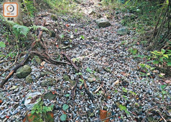 大欖郊野公園：香港槍會後山遍布鉛彈、飛靶碎及子彈膠塞等射擊垃圾。（李華輝攝）