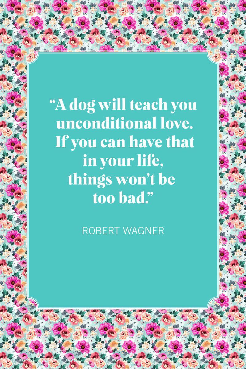 robert wagner dog mom quotes