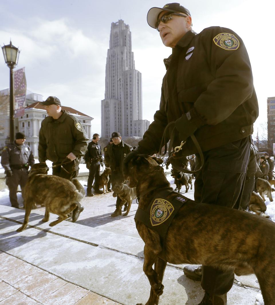 A Uniontown, Pa. police officer, right, and his K9 partner assembles with others for a funeral procession for a Pittsburgh police dog on Friday, Feb. 7, 2014, in Pittsburgh. Rocco was an 8-year-old German shepherd that died Jan. 30, two days after being stabbed by a fugitive suspect during an arrest. (AP Photo/Keith Srakocic)