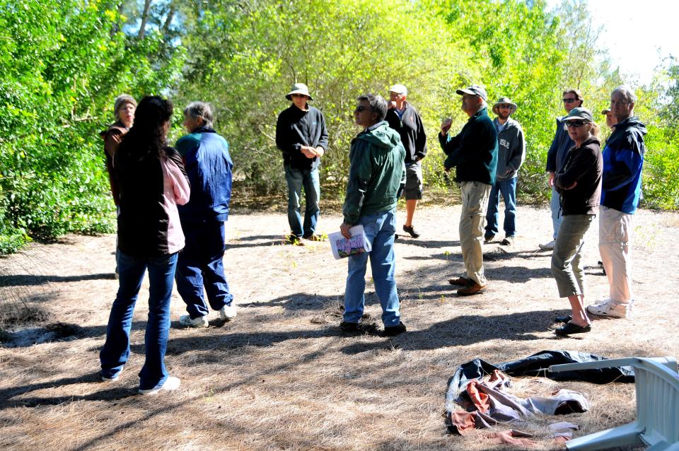 Residents, planners and Cocoa Beach city officials took a tour of the city-owned portion of the Thousand Islands north of Minutemen Causeway in early 2013 on a pontoon boat. The group observes a spoil island, in a clearing surrounded by invasive Australian pine trees, which are among the most prolific invasive trees in Florida, planted decades ago for shade.