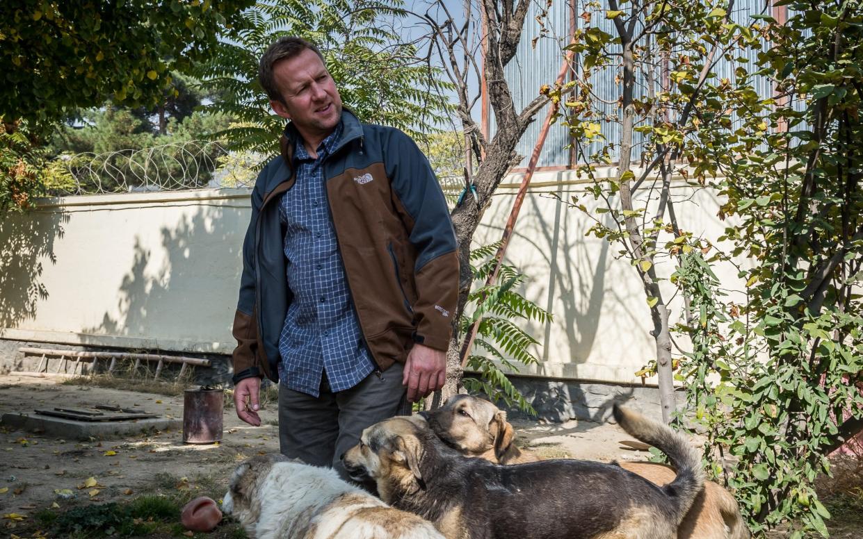 Pen Farthing with dogs at the Nowzad HQ in 2015