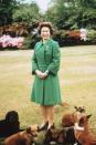 <p>The queen adores her pets, and during a trip to Sandringham Estate–a 20,000-acre estate in Norfolk, England–she was snapped hanging out with six adorable dogs.</p>