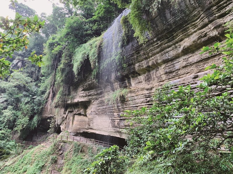 青年嶺步道燕子崖。圖片提供/交通部觀光局阿里山國家風景區管理處