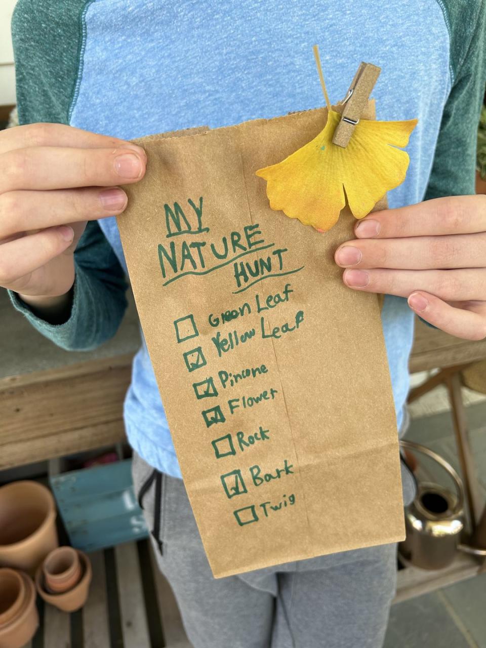 nature hunt collected in brown paper bag
