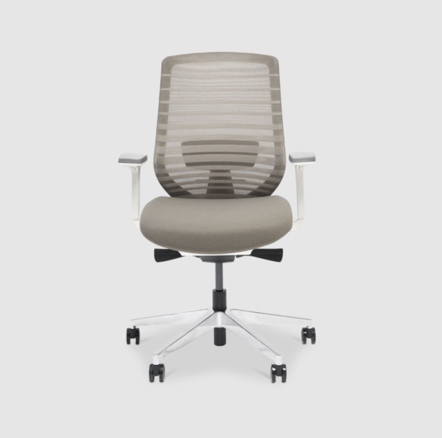 Dual-backrests] Duorest Alpha - Ergonomic Office Chair, Home