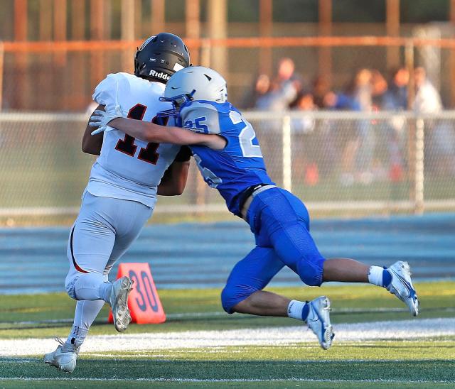 Two Charlotte County's Thomas-Oliver, Williams gear up for the NFL