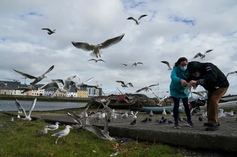 Outbreak of the coronavirus disease (COVID-19) pandemic in Galway