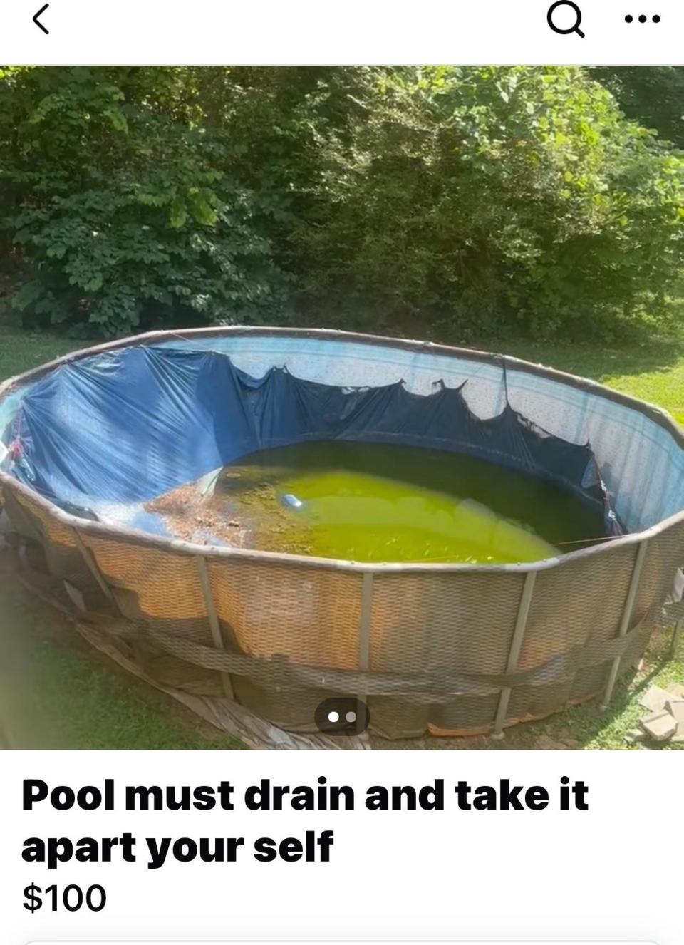 Partially drained pool with dirty water in backyard. Text reads: "Pool must drain and take it apart yourself, $100."