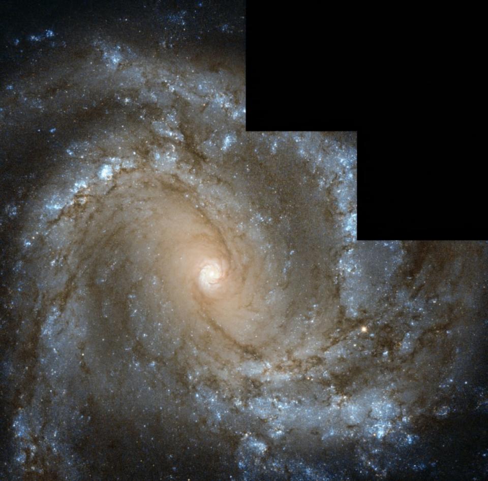 <div class="inline-image__caption"><p>NGC 4303 as seen by the Hubble Space Telescope.</p></div> <div class="inline-image__credit">ESA/Hubble & NASA</div>