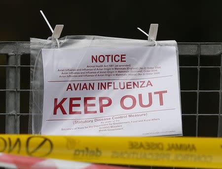 Police tape and warning signs are seen outside a duck farm in Nafferton, northern England November 17, 2014. REUTERS/Phil Noble